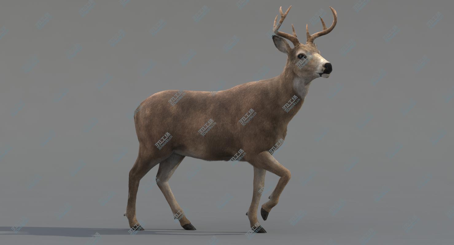 images/goods_img/202104094/Deer Rigged (Fur)/5.jpg